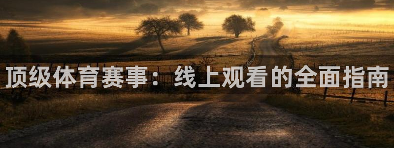 足球直播球神