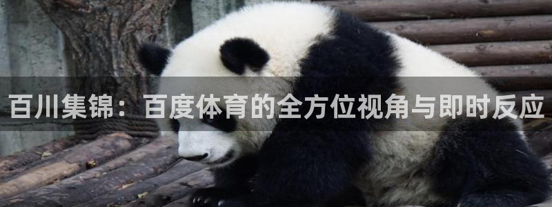 球神直播体育在线