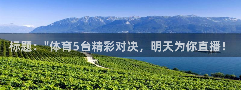 球神直播免费体育直播