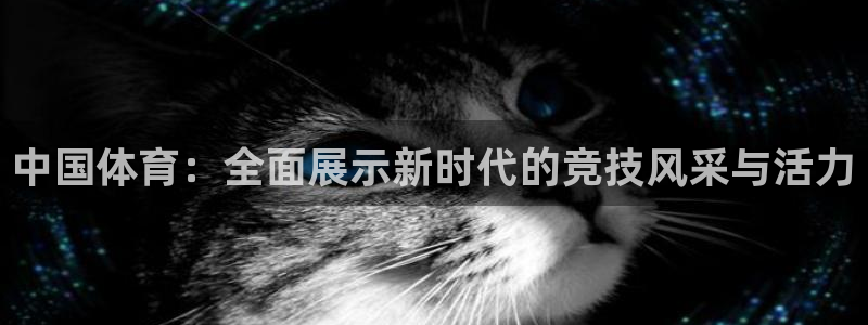 球神直播足球