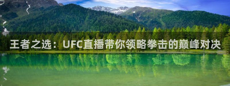 足球直播球神