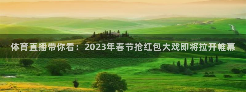 球神直播体育在线观看网址
