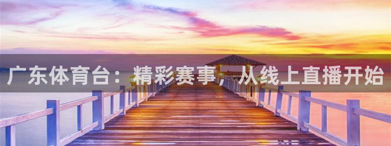 球神体育直播官网