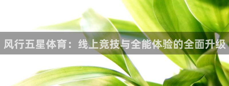 球神直播体育在线观看网站：风行五星体育：线上竞技与全能体验的全面升级