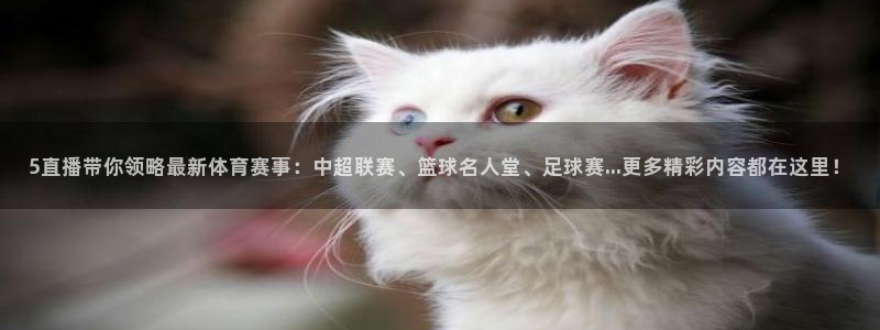 球神体育直播官网
