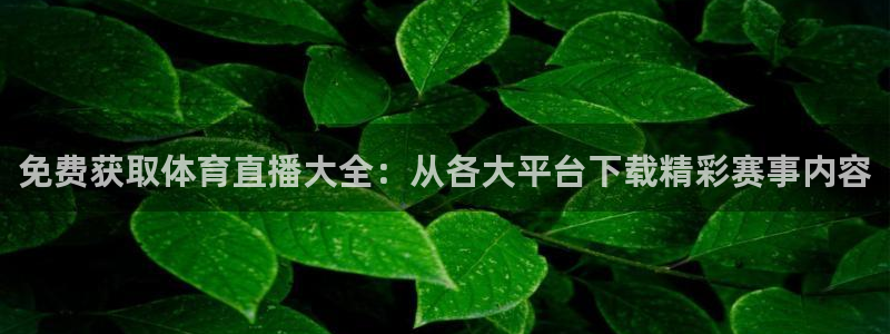 球神体育直播